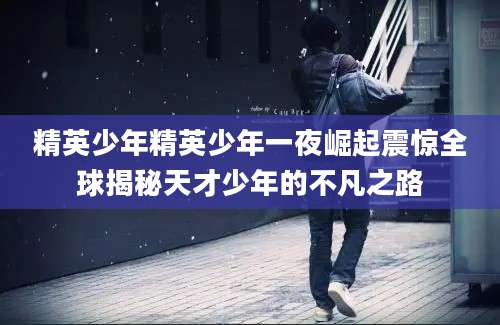精英少年精英少年一夜崛起震惊全球揭秘天才少年的不凡之路