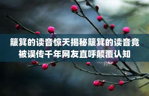 簸箕的读音惊天揭秘簸箕的读音竟被误传千年网友直呼颠覆认知