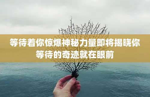 等待着你惊爆神秘力量即将揭晓你等待的奇迹就在眼前