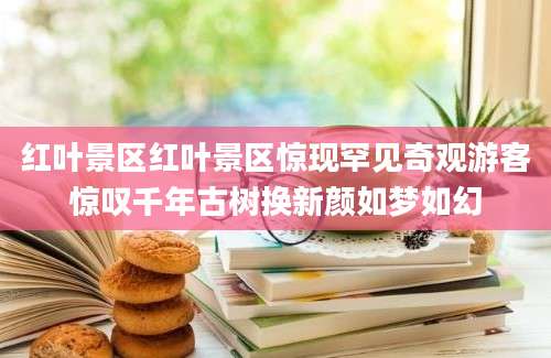 红叶景区红叶景区惊现罕见奇观游客惊叹千年古树换新颜如梦如幻