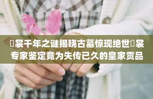纁裳千年之谜揭晓古墓惊现绝世纁裳专家鉴定竟为失传已久的皇家贡品