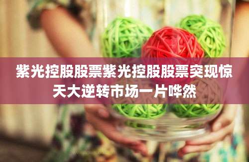 紫光控股股票紫光控股股票突现惊天大逆转市场一片哗然