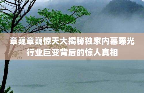 章巍章巍惊天大揭秘独家内幕曝光行业巨变背后的惊人真相