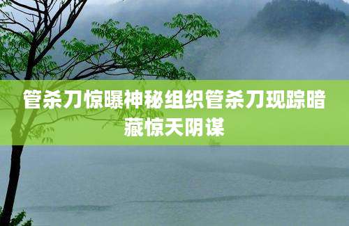 管杀刀惊曝神秘组织管杀刀现踪暗藏惊天阴谋