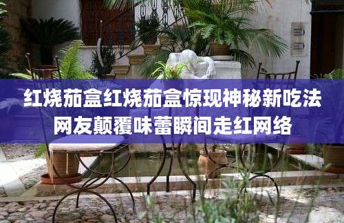 红烧茄盒红烧茄盒惊现神秘新吃法网友颠覆味蕾瞬间走红网络