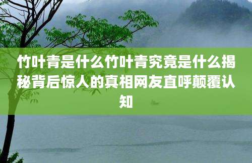 竹叶青是什么竹叶青究竟是什么揭秘背后惊人的真相网友直呼颠覆认知