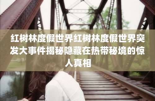 红树林度假世界红树林度假世界突发大事件揭秘隐藏在热带秘境的惊人真相