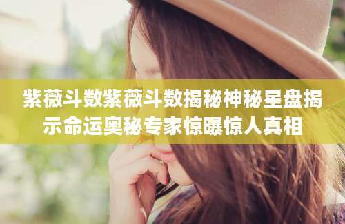 紫薇斗数紫薇斗数揭秘神秘星盘揭示命运奥秘专家惊曝惊人真相