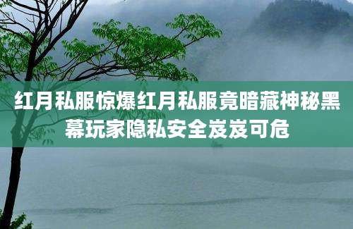 红月私服惊爆红月私服竟暗藏神秘黑幕玩家隐私安全岌岌可危