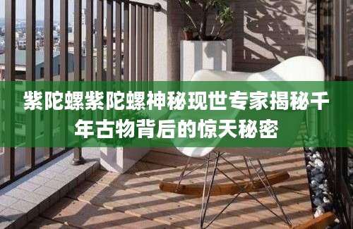 紫陀螺紫陀螺神秘现世专家揭秘千年古物背后的惊天秘密