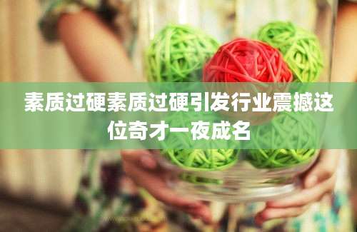 素质过硬素质过硬引发行业震撼这位奇才一夜成名