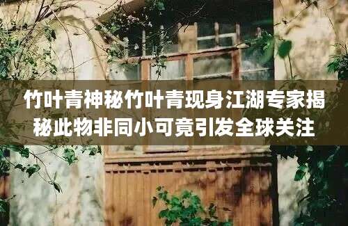 竹叶青神秘竹叶青现身江湖专家揭秘此物非同小可竟引发全球关注