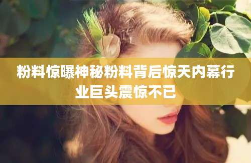 粉料惊曝神秘粉料背后惊天内幕行业巨头震惊不已