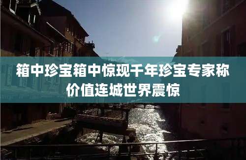 箱中珍宝箱中惊现千年珍宝专家称价值连城世界震惊