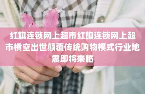红旗连锁网上超市红旗连锁网上超市横空出世颠覆传统购物模式行业地震即将来临