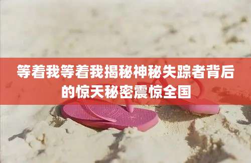 等着我等着我揭秘神秘失踪者背后的惊天秘密震惊全国