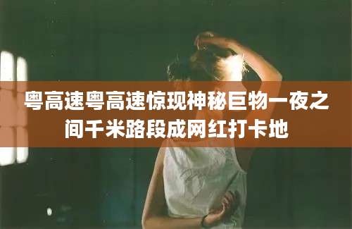 粤高速粤高速惊现神秘巨物一夜之间千米路段成网红打卡地