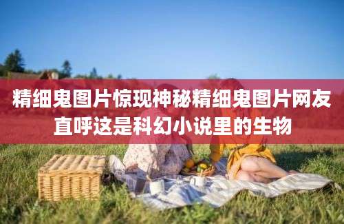 精细鬼图片惊现神秘精细鬼图片网友直呼这是科幻小说里的生物