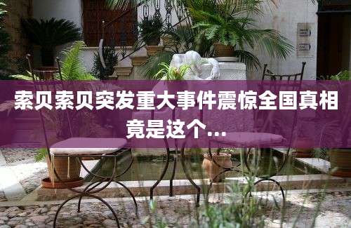 索贝索贝突发重大事件震惊全国真相竟是这个...