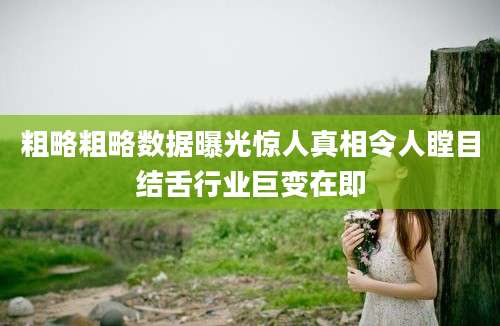粗略粗略数据曝光惊人真相令人瞠目结舌行业巨变在即