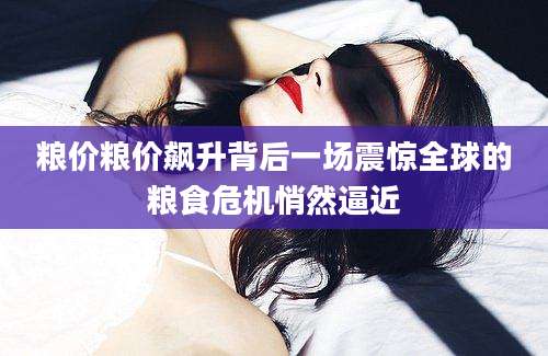 粮价粮价飙升背后一场震惊全球的粮食危机悄然逼近