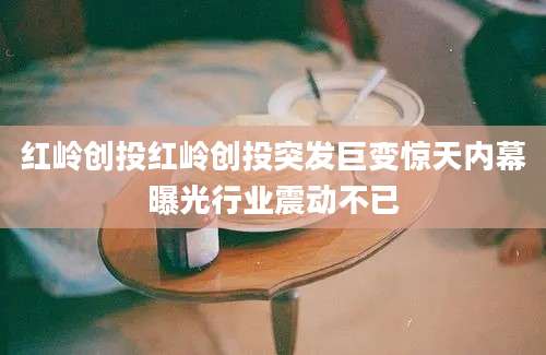 红岭创投红岭创投突发巨变惊天内幕曝光行业震动不已