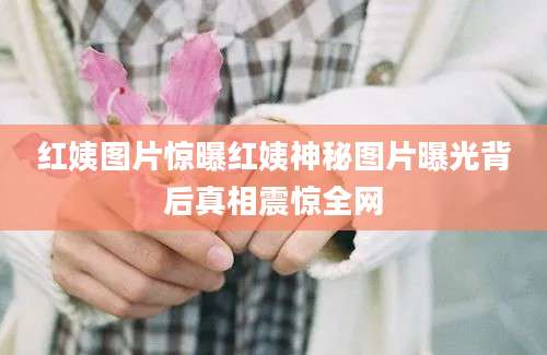 红姨图片惊曝红姨神秘图片曝光背后真相震惊全网