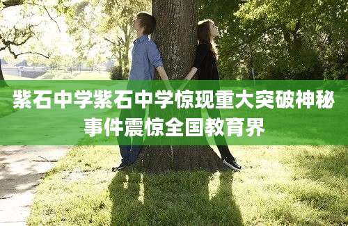 紫石中学紫石中学惊现重大突破神秘事件震惊全国教育界