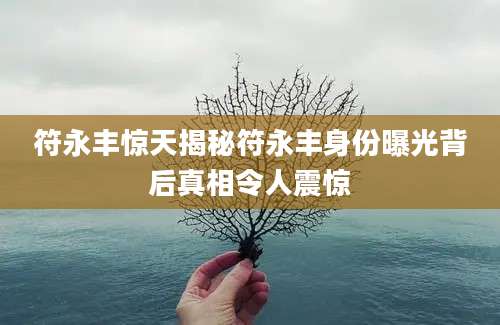 符永丰惊天揭秘符永丰身份曝光背后真相令人震惊