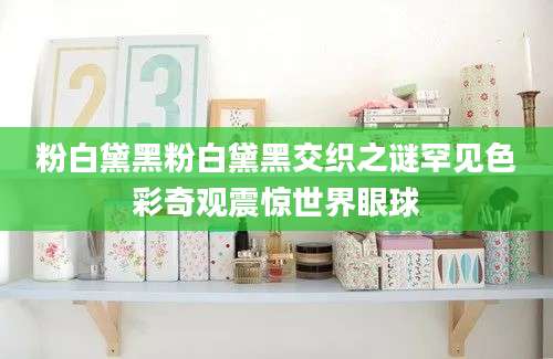 粉白黛黑粉白黛黑交织之谜罕见色彩奇观震惊世界眼球