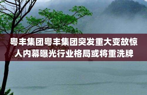粤丰集团粤丰集团突发重大变故惊人内幕曝光行业格局或将重洗牌