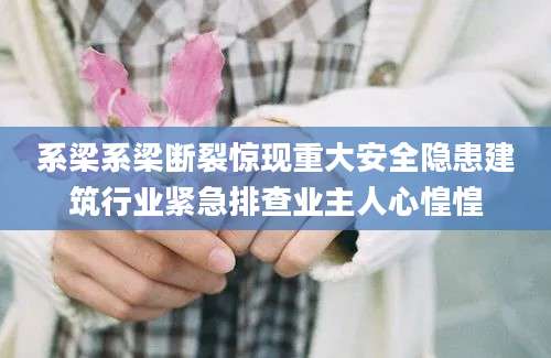 系梁系梁断裂惊现重大安全隐患建筑行业紧急排查业主人心惶惶