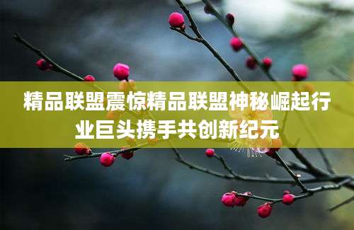 精品联盟震惊精品联盟神秘崛起行业巨头携手共创新纪元