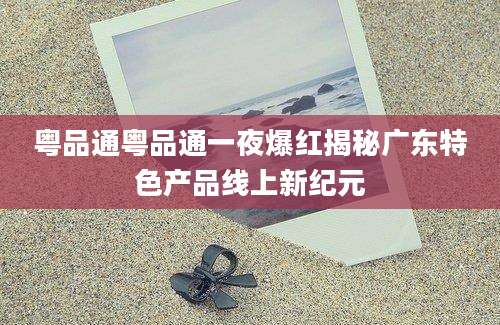 粤品通粤品通一夜爆红揭秘广东特色产品线上新纪元
