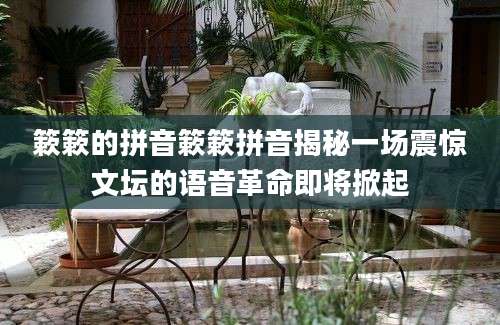 簌簌的拼音簌簌拼音揭秘一场震惊文坛的语音革命即将掀起