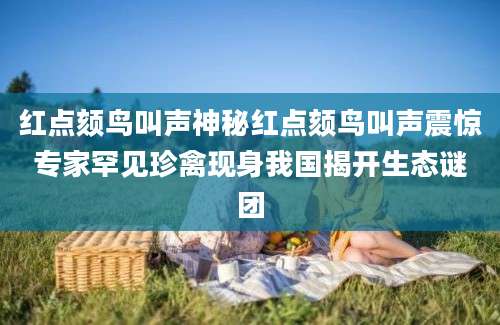 红点颏鸟叫声神秘红点颏鸟叫声震惊专家罕见珍禽现身我国揭开生态谜团