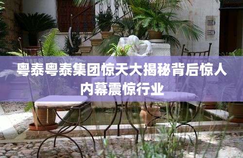 粤泰粤泰集团惊天大揭秘背后惊人内幕震惊行业