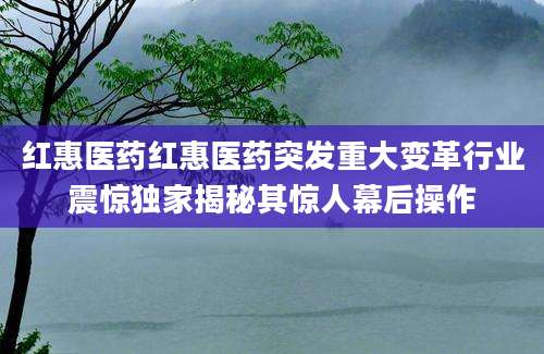 红惠医药红惠医药突发重大变革行业震惊独家揭秘其惊人幕后操作