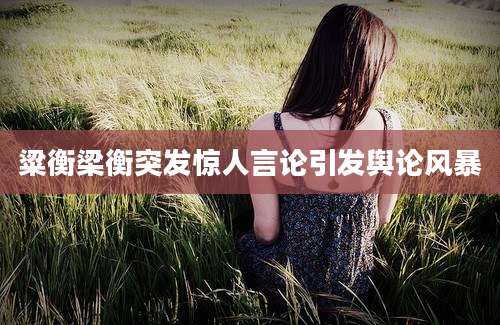 粱衡梁衡突发惊人言论引发舆论风暴