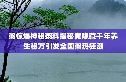 粥惊爆神秘粥料揭秘竟隐藏千年养生秘方引发全国粥热狂潮