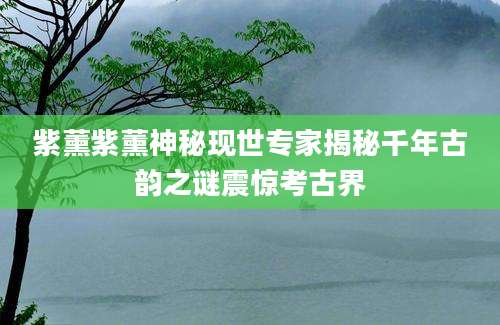 紫薰紫薰神秘现世专家揭秘千年古韵之谜震惊考古界
