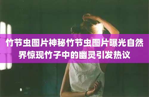 竹节虫图片神秘竹节虫图片曝光自然界惊现竹子中的幽灵引发热议