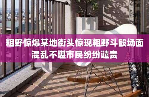 粗野惊爆某地街头惊现粗野斗殴场面混乱不堪市民纷纷谴责