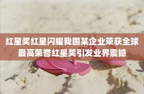 红星奖红星闪耀我国某企业荣获全球最高荣誉红星奖引发业界震撼